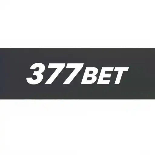 Crescimento e Inovações da Plataforma 377bet